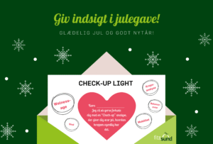 Julegave 2025 - checkup light