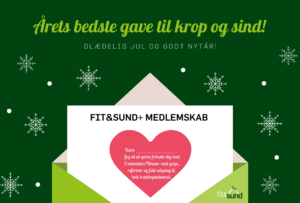 Julegave 2025 - plus medlem